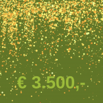 Opbrengst lichtjesactie 2024